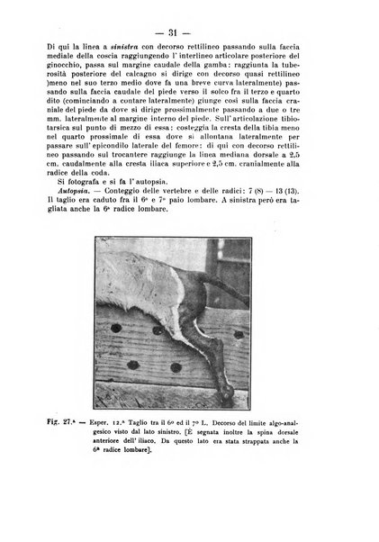 Archivio di farmacologia sperimentale e scienze affini