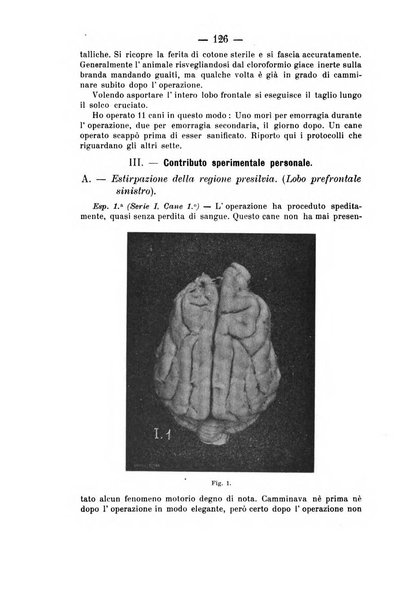 Archivio di farmacologia sperimentale e scienze affini