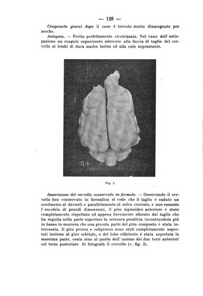 Archivio di farmacologia sperimentale e scienze affini