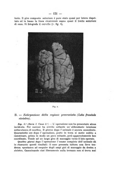 Archivio di farmacologia sperimentale e scienze affini