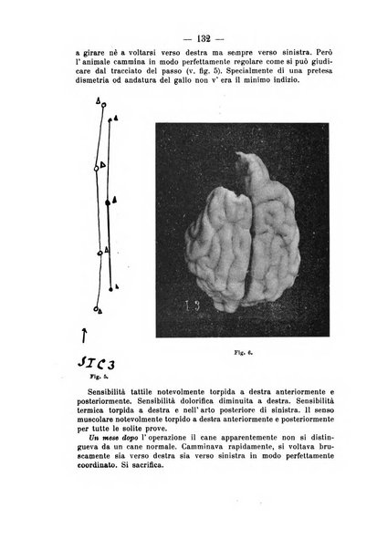 Archivio di farmacologia sperimentale e scienze affini