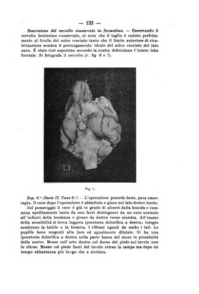 Archivio di farmacologia sperimentale e scienze affini