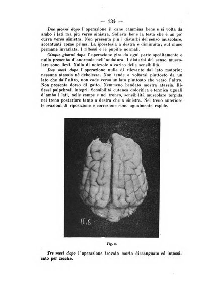 Archivio di farmacologia sperimentale e scienze affini