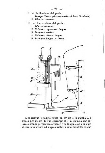 Archivio di farmacologia sperimentale e scienze affini