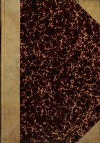 giornale/PUV0140996/1910/V.2