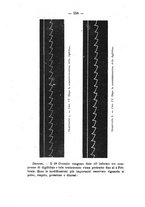 giornale/PUV0140996/1913/V.1/00000612