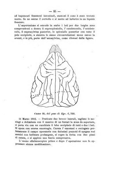 Archivio di farmacologia sperimentale e scienze affini