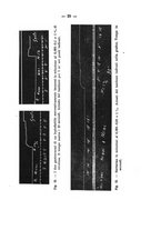 giornale/PUV0140996/1916/V.1/00000035