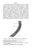 giornale/PUV0140996/1917/V.1/00000119