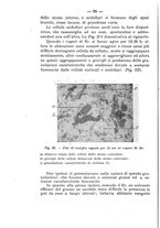 giornale/PUV0140996/1917/V.1/00000120