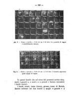 giornale/PUV0140996/1917/V.1/00000384