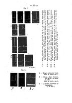 giornale/PUV0140996/1917/V.1/00000441