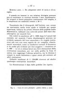 giornale/PUV0140996/1917/V.2/00000057