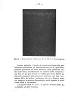 giornale/PUV0140996/1917/V.2/00000084