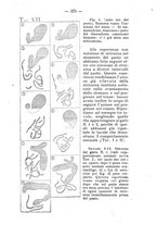 giornale/PUV0140996/1917/V.2/00000425