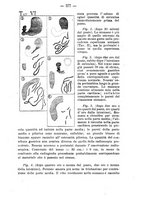 giornale/PUV0140996/1917/V.2/00000427