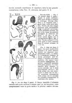 giornale/PUV0140996/1917/V.2/00000431
