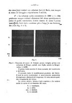 giornale/PUV0140996/1924/V.1/00000139