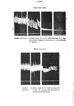 giornale/PUV0140996/1924/V.1/00000254