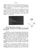 giornale/PUV0140996/1926/V.1/00000213
