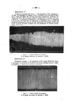 giornale/PUV0140996/1926/V.2/00000129