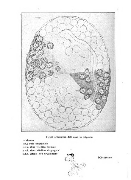 Archivio di farmacologia sperimentale e scienze affini