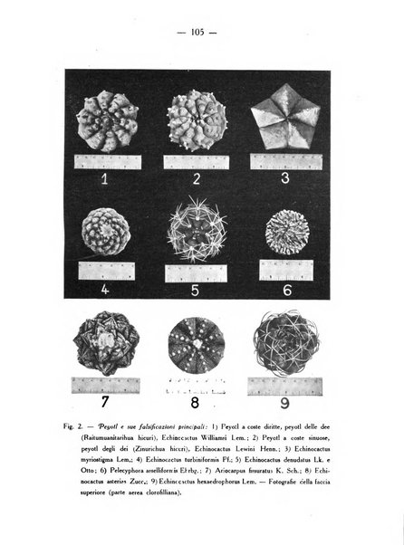 Archivio di farmacologia sperimentale e scienze affini