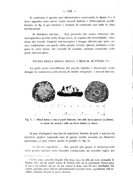 Archivio di farmacologia sperimentale e scienze affini