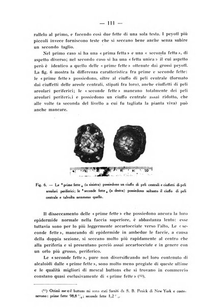 Archivio di farmacologia sperimentale e scienze affini