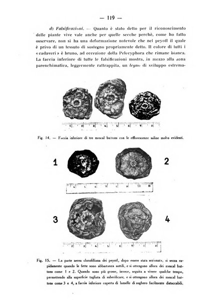 Archivio di farmacologia sperimentale e scienze affini