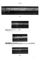 giornale/PUV0140996/1936/V.1/00000175