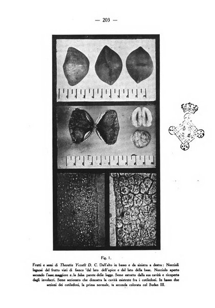 Archivio di farmacologia sperimentale e scienze affini