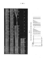 giornale/PUV0140996/1939/V.2/00000050