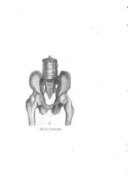 Annali di ostetricia, ginecologia e pediatria