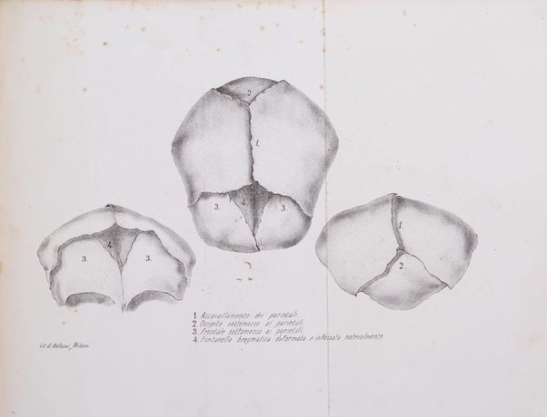 Annali di ostetricia, ginecologia e pediatria