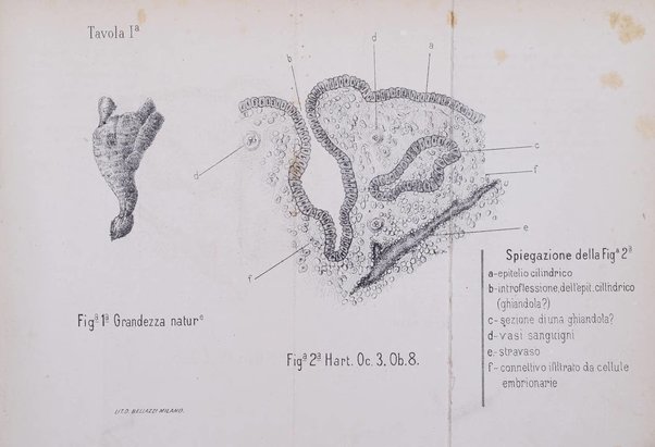 Annali di ostetricia, ginecologia e pediatria