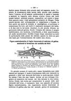 giornale/PUV0141024/1882/unico/00000637