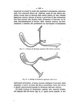 giornale/PUV0141024/1884/unico/00000274