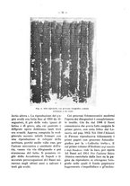 giornale/RAV0006317/1927-1928/unico/00000407