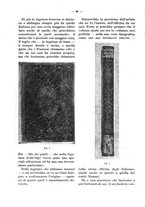 giornale/RAV0006317/1927-1928/unico/00000520