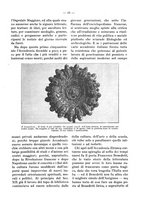giornale/RAV0006317/1928/unico/00000329