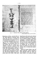 giornale/RAV0006317/1932/unico/00000133