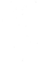 giornale/RAV0008224/1878/v.1/00000010