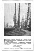 giornale/RAV0033223/1924/unico/00000071