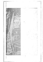 giornale/RAV0033223/1924/unico/00000104