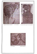 giornale/RAV0033223/1924/unico/00000105