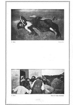 giornale/RAV0033223/1924/unico/00000190