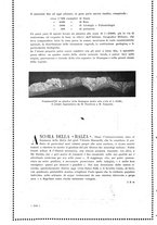 giornale/RAV0033223/1924/unico/00000222