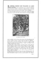 giornale/RAV0033223/1924/unico/00000249