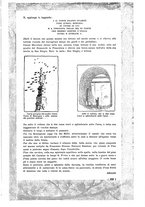 giornale/RAV0033223/1924/unico/00000305